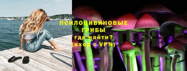 не бодяженный Ельня