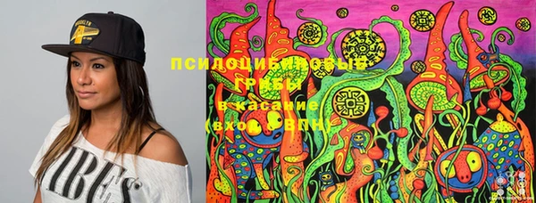 альфа пвп Елизово