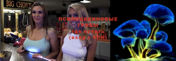 прущие крисы Елабуга