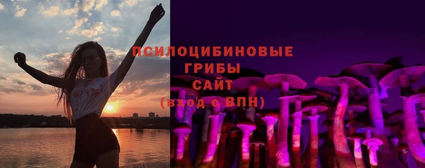 не бодяженный Ельня