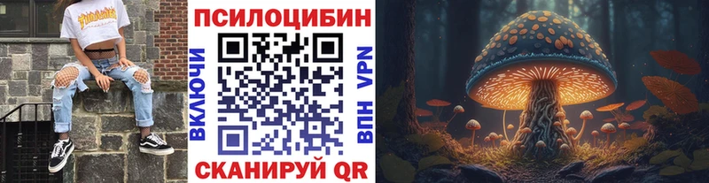 Галлюциногенные грибы Psilocybine cubensis Тихвин