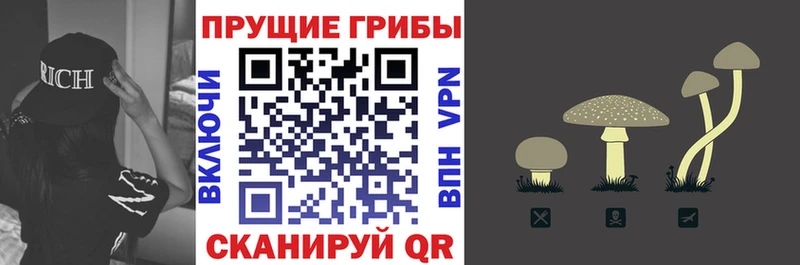 Галлюциногенные грибы Cubensis  Купить  Тихвин 
