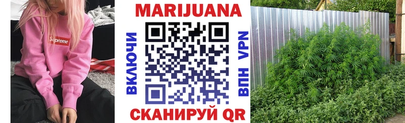 Купить закладки  Тихвин  Каннабис Ganja 